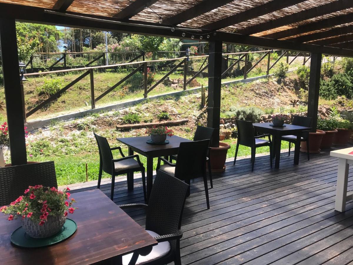 B&B Aloe Ranch Elba Rio nell'Elba Экстерьер фото